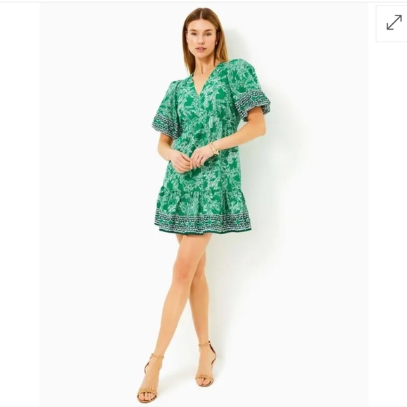 Lilly Pulitzer Kentlee Puff Sleeve Cotton Dress In Fiddle Leaf Safari Size 6 - Picture 11 of 13